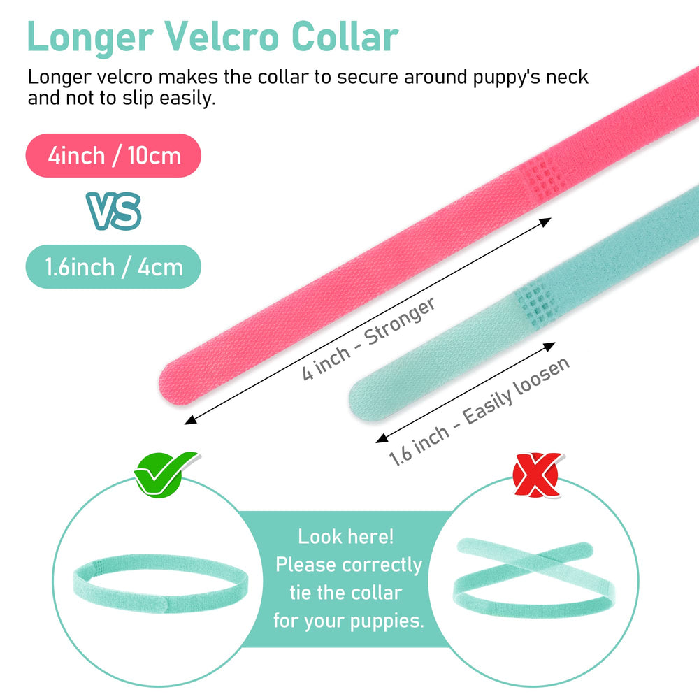 GAMUDA birth-weight-tracking chart closeup supports growth monitoring for each puppy.