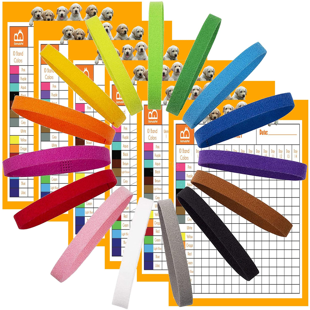 GAMUDA newborn puppy collars pack in assorted colors for quick litter identification.