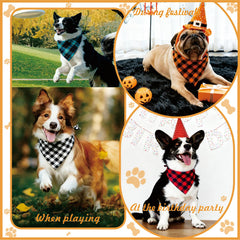 Ganbuyrii holiday party dog photos with festive plaid look