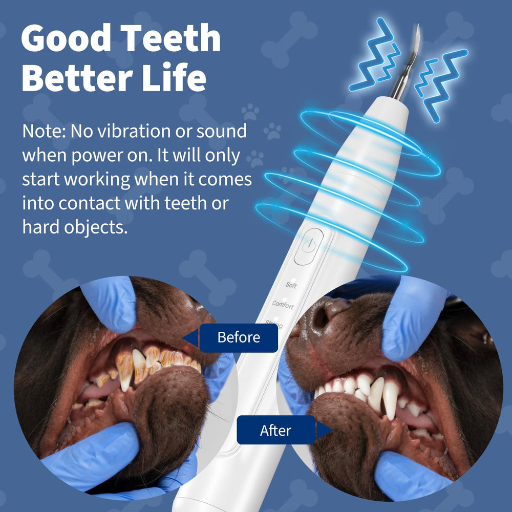 Ganciu replacement cleaning heads enable ongoing at-home dental care.