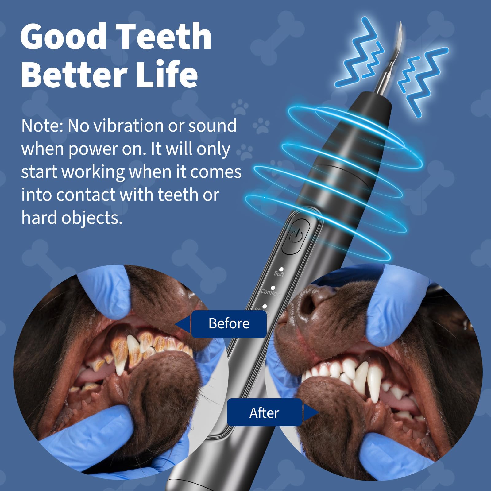 Ganciu dog dental probe and mirror kit for thorough checks.