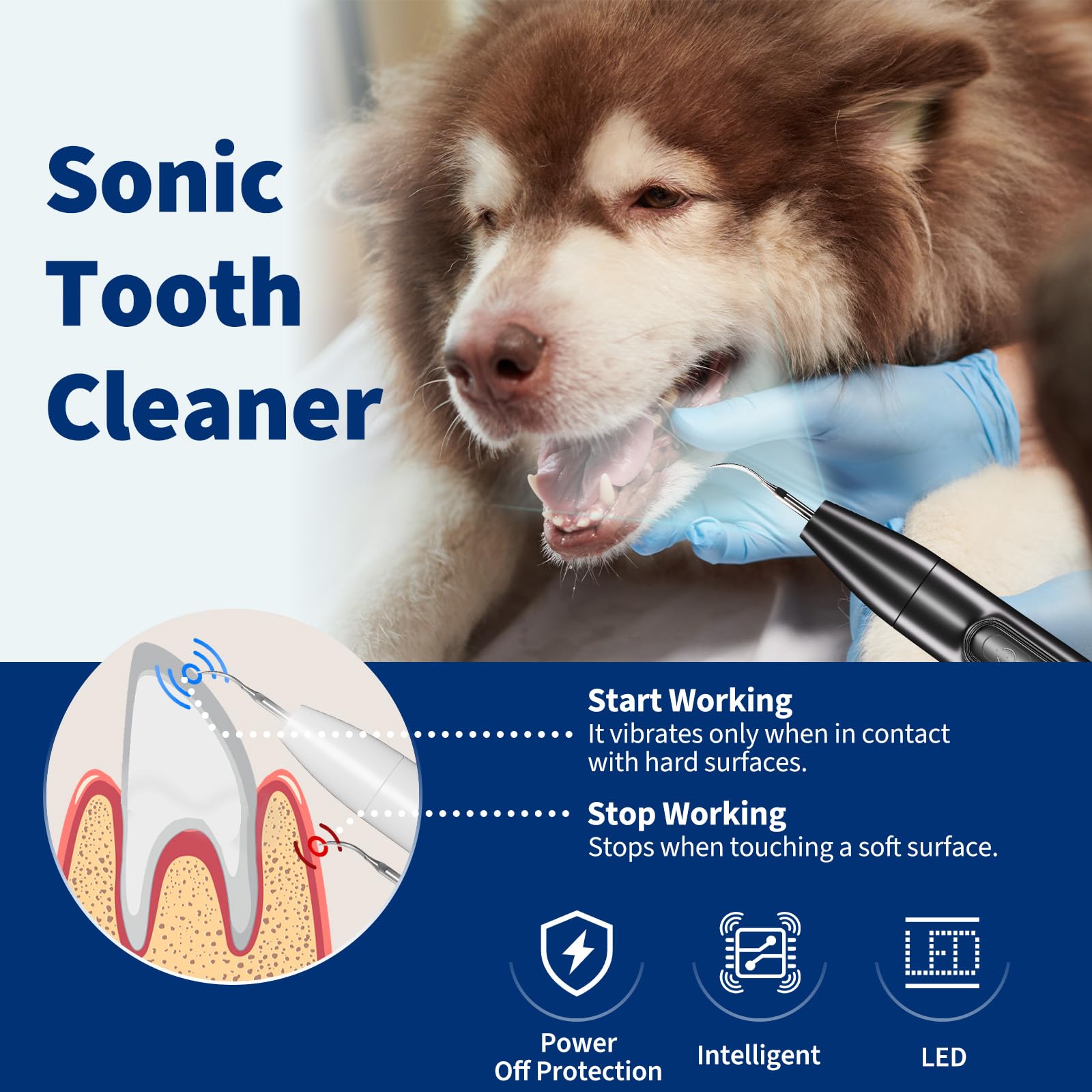 Ganciu dog LED-light on for improved visibility during cleaning.