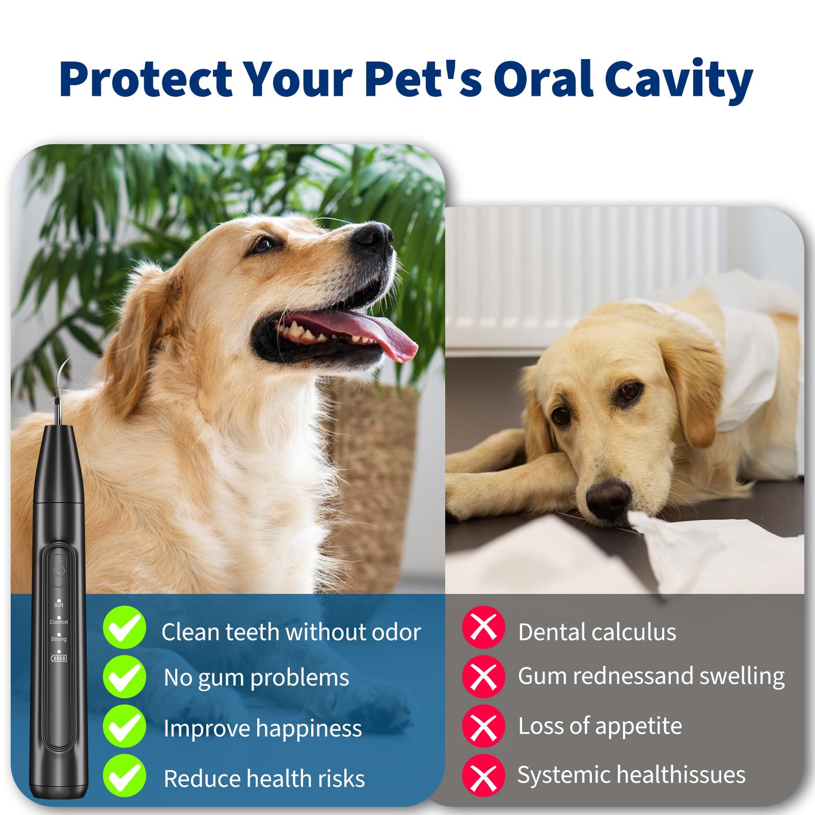 Ganciu dog ultrasonic cleaner with mode buttons for gentle to powerful cleaning.