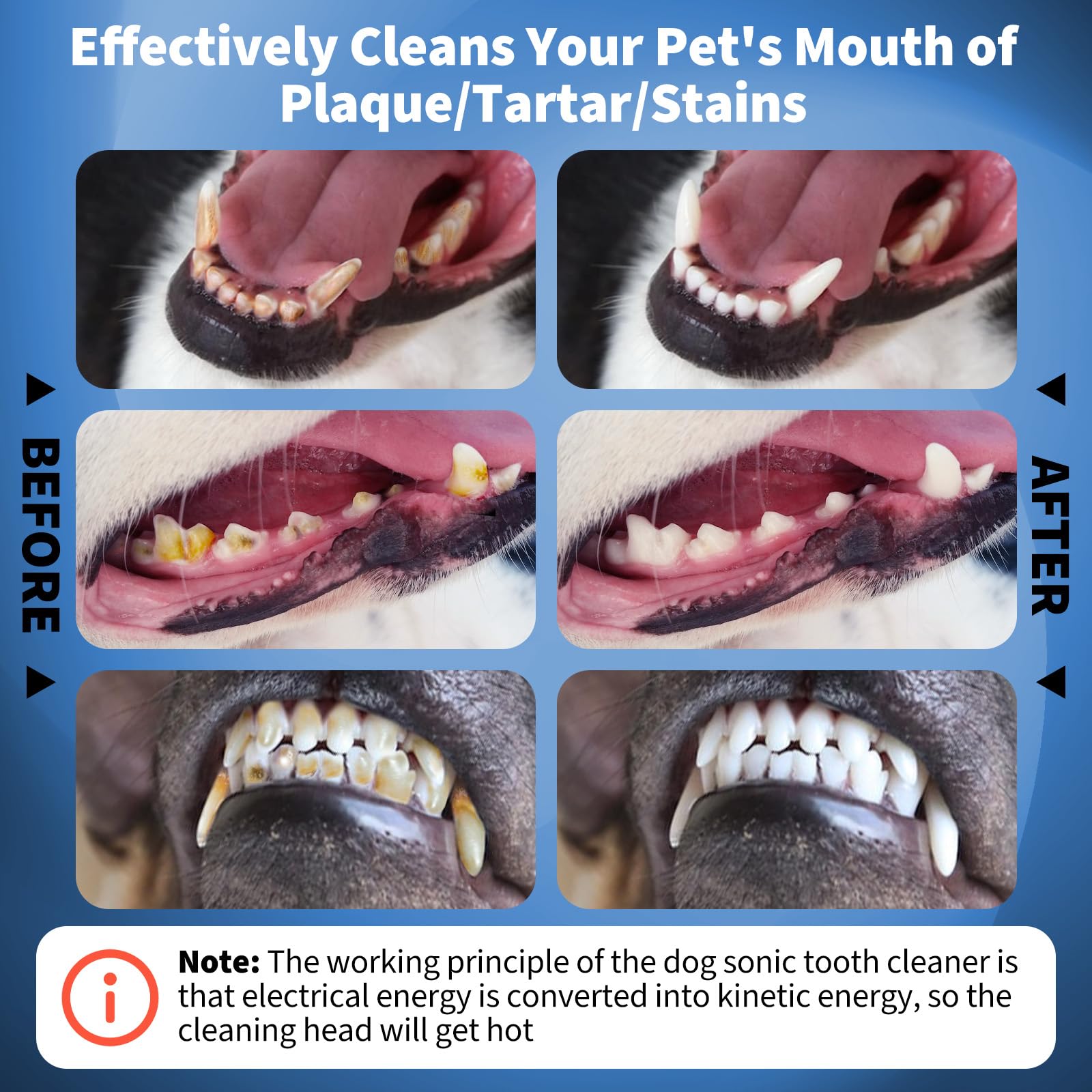 Ganciu mouth mirror aids mouth inspection during at-home cleaning.