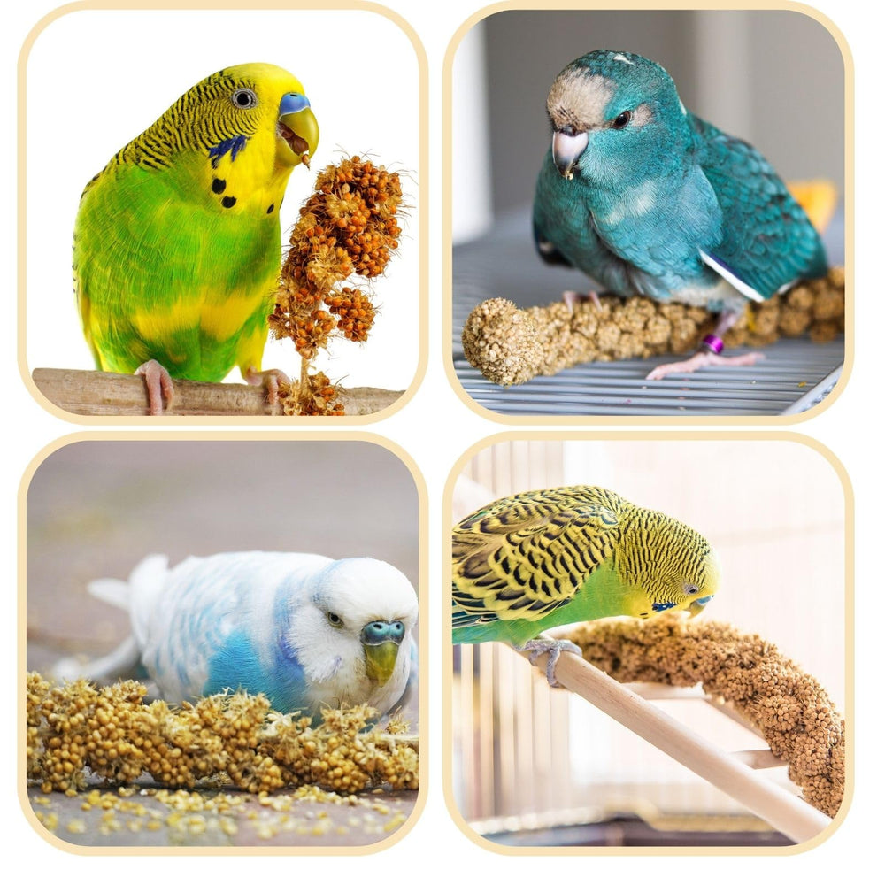 GANMHOILL easy-to-use millet for quick serving.