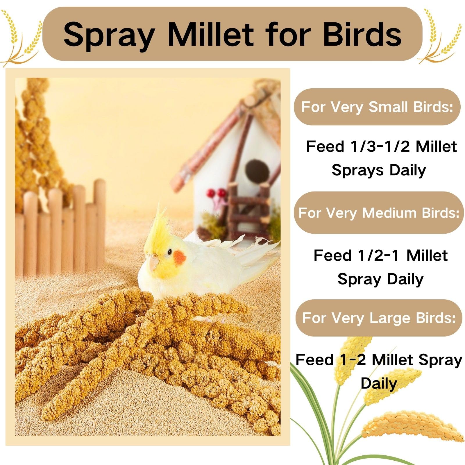 GANMHOILL gluten-free millet supports sensitive stomach birds.