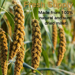 GANMHOILL small-bird treat ideal for parakeets and buds.