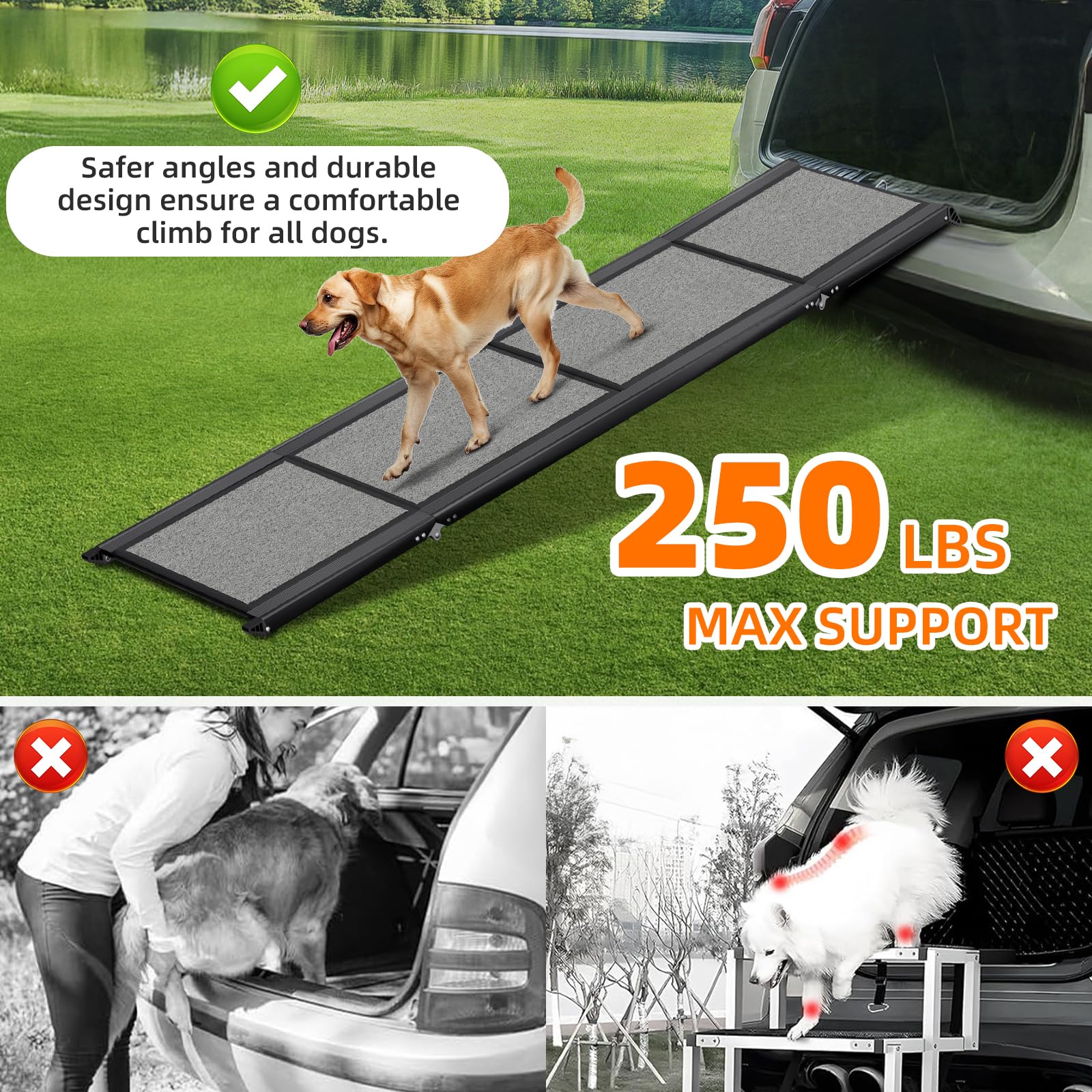 GAOYITK dog ramp supports up to 250 lbs for medium to large dogs.