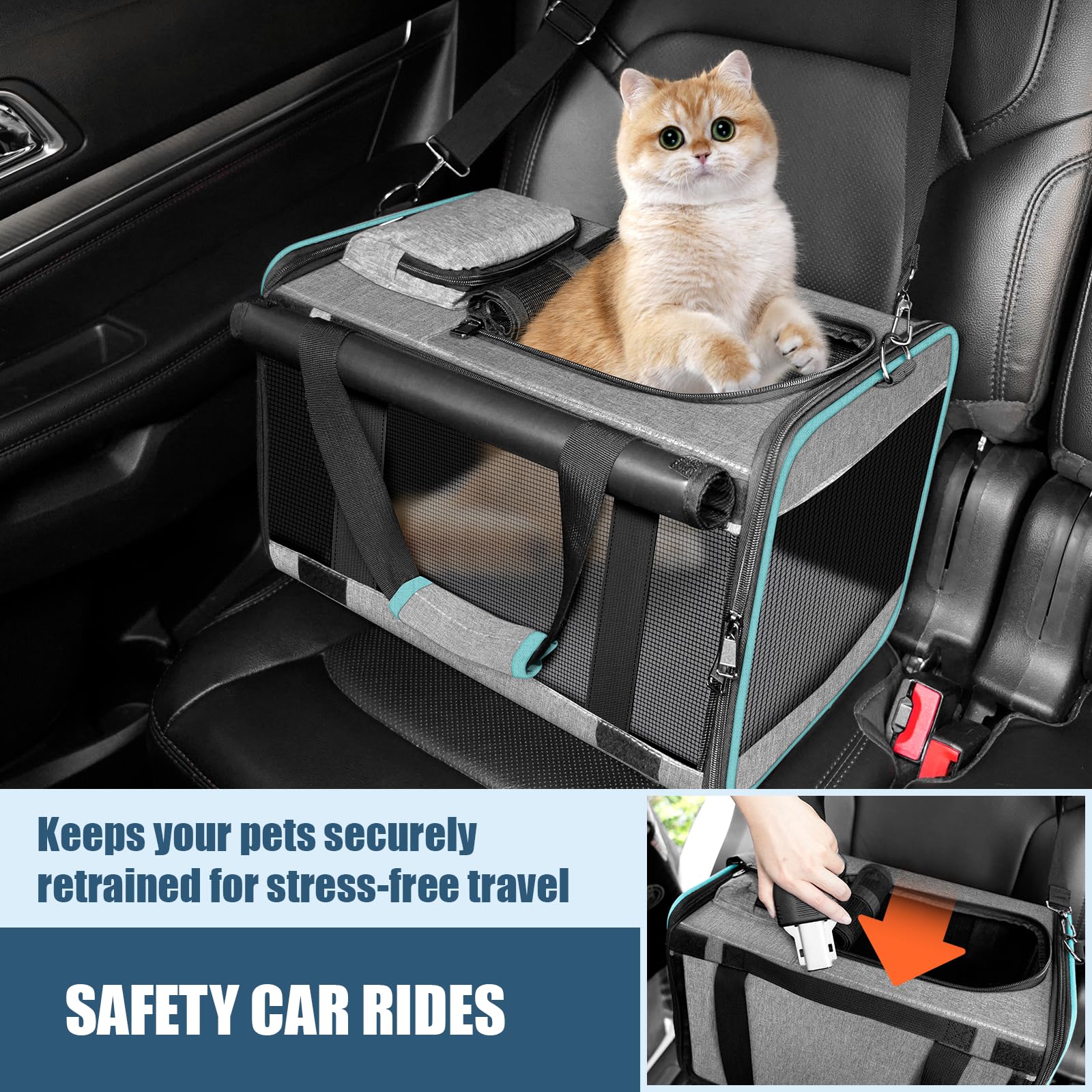 GAPZER Alaska pet travel carrier showing ventilation for comfortable journeys.
