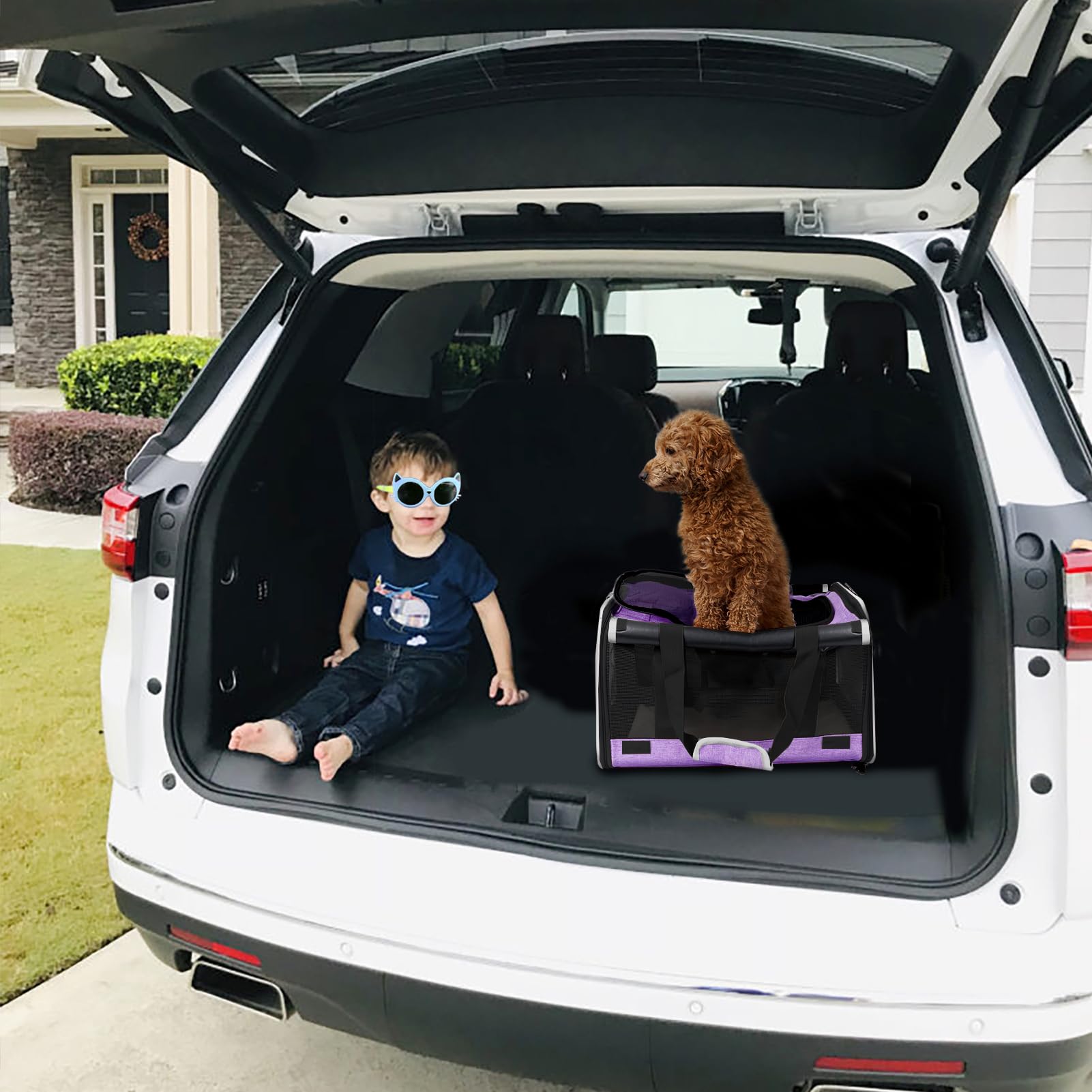 GAPZER carrying bag top-and-side-entry simplifies pet access.