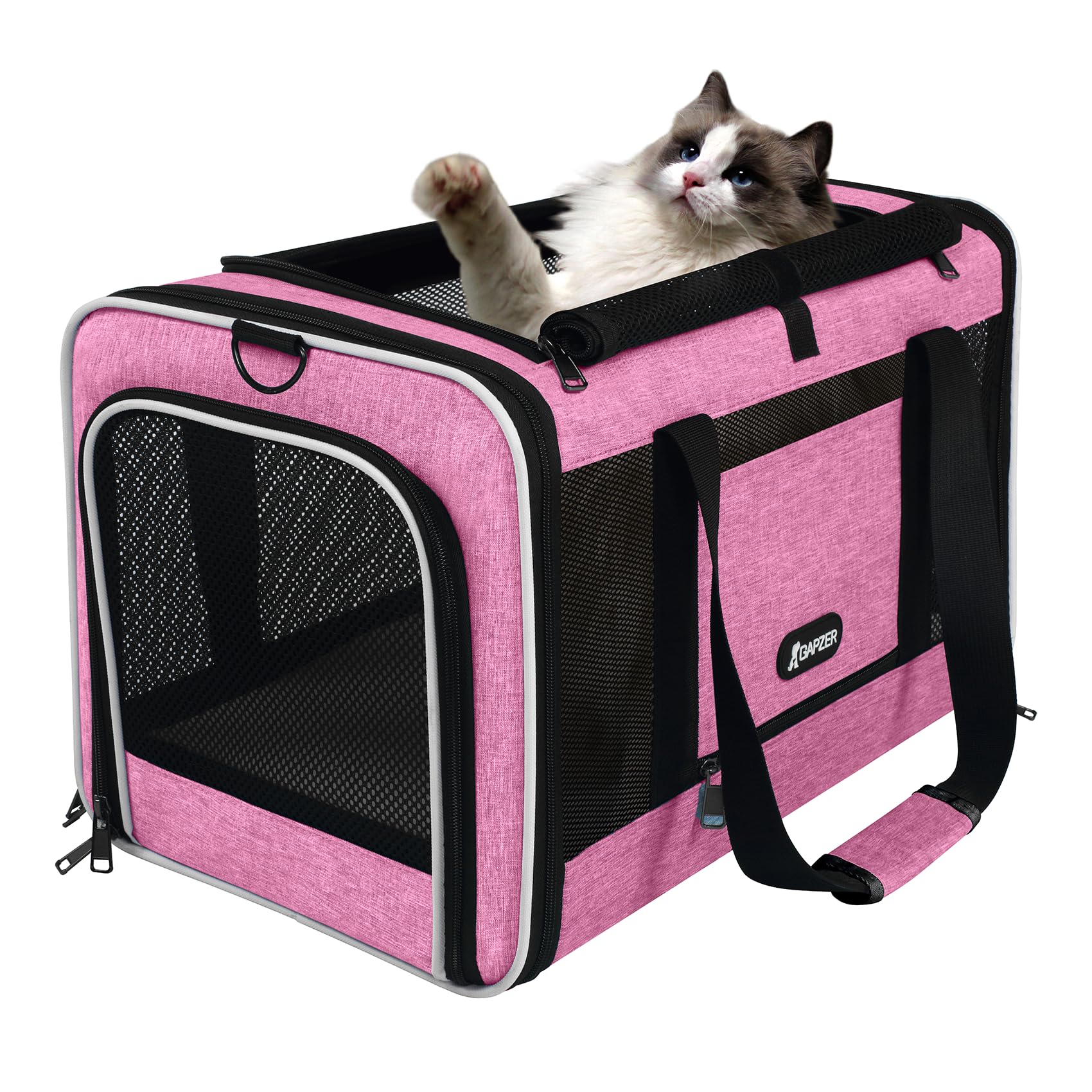 GAPZER cat carrier collapsible storage pockets for toys and treats