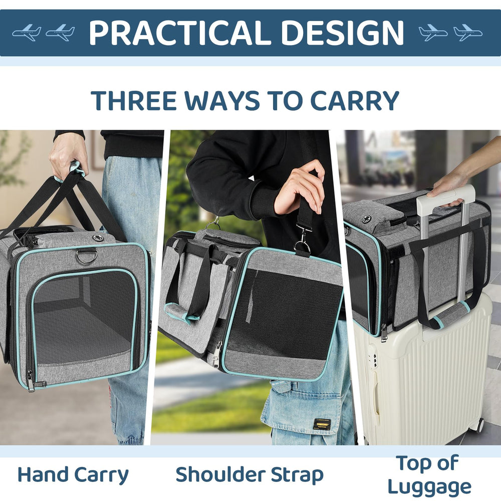 GAPZER cat carrier inner tether and auto-locking zippers for security