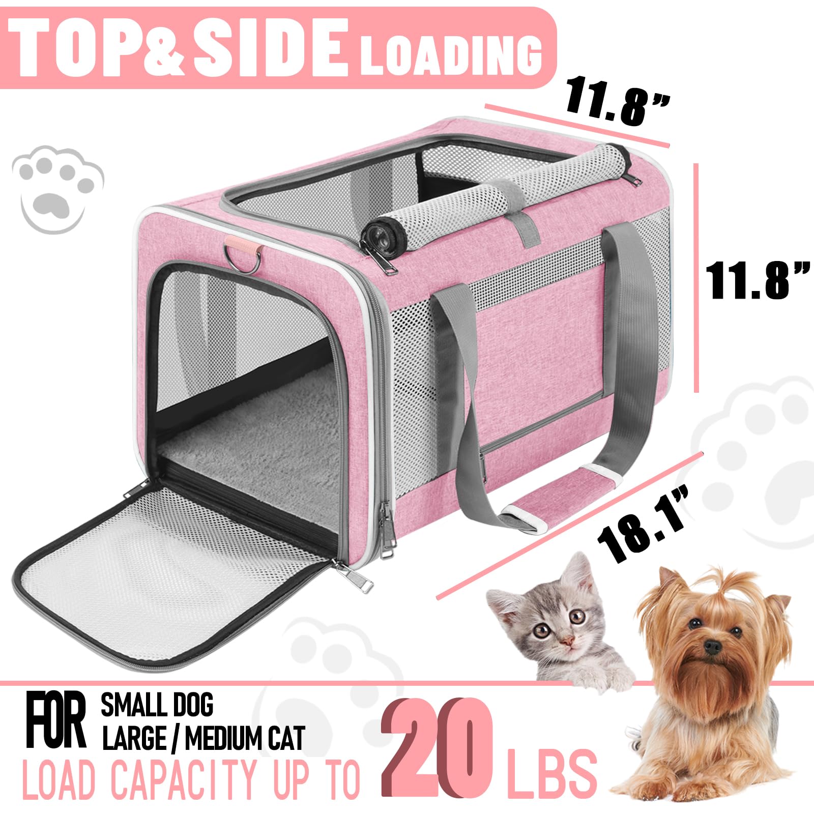 Gapzer cat carrier interior with steel frame provides durable support.
