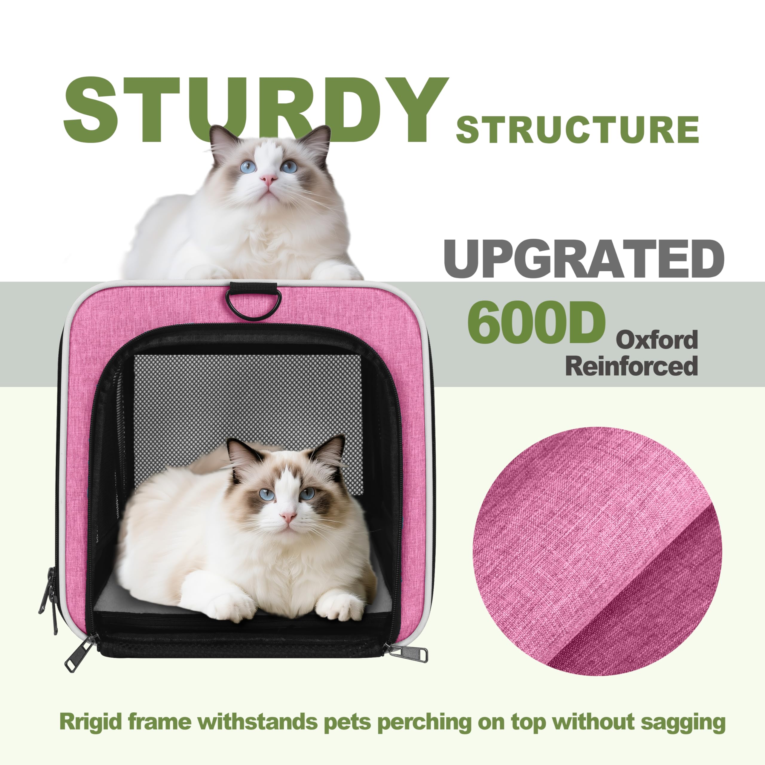 GAPZER cat carrier side-entry door for flexible access during vet visits