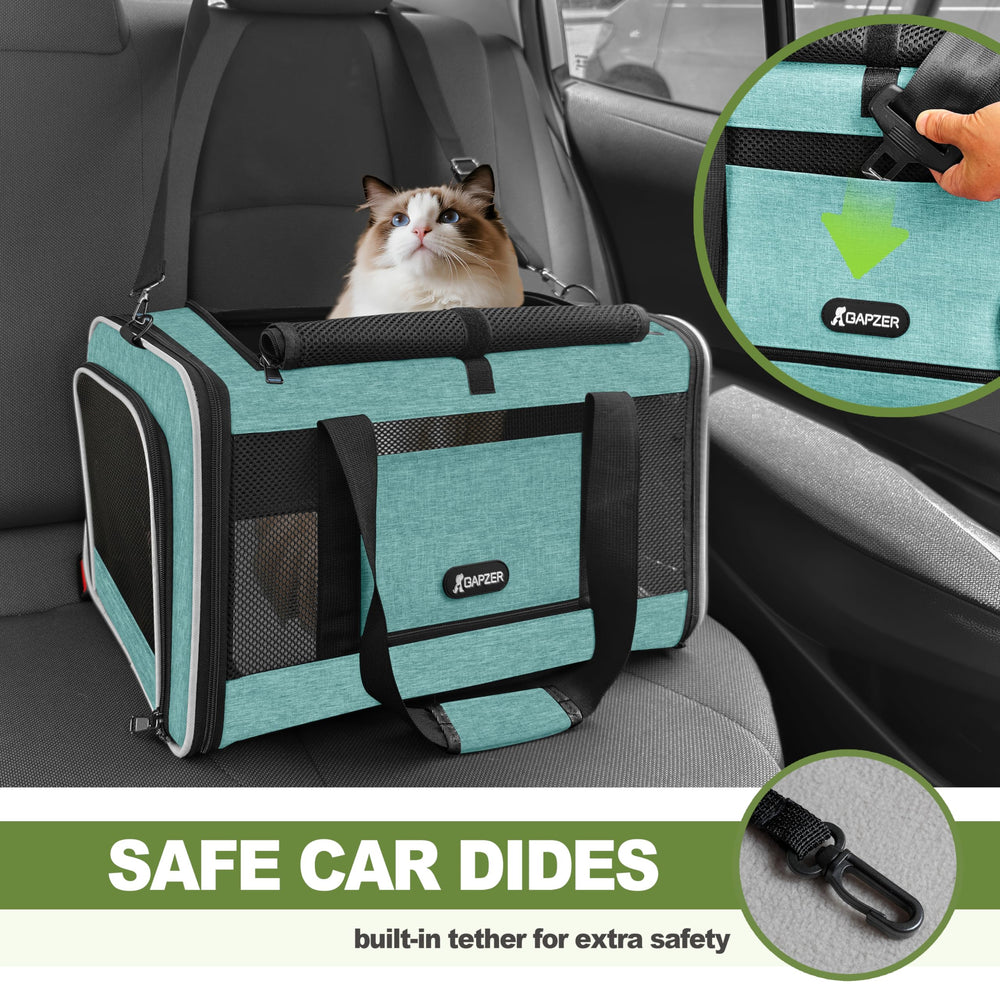 Gapzer cat carrier teal collapsible design stores flat when not in use.