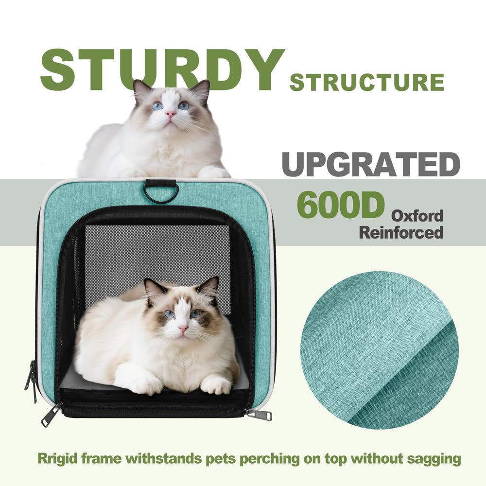 Gapzer cat carrier teal front view highlights the secure design.