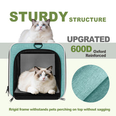 Gapzer cat carrier teal front view highlights the secure design.