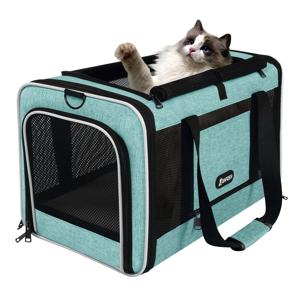 Gapzer cat carrier teal seatbelt sleeve compatibility aids car travel.