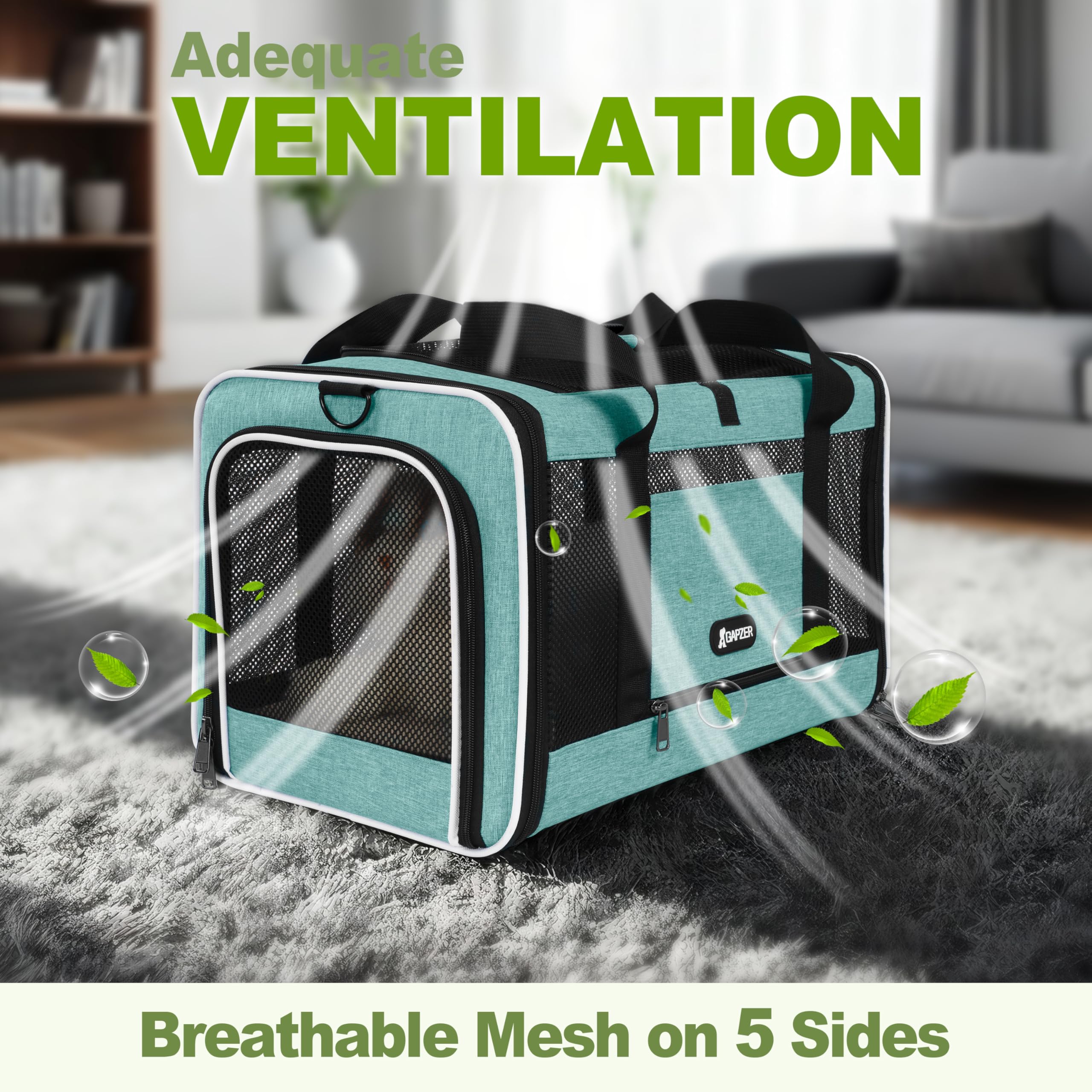 Gapzer cat carrier teal side door enables stress-free pet transfers.