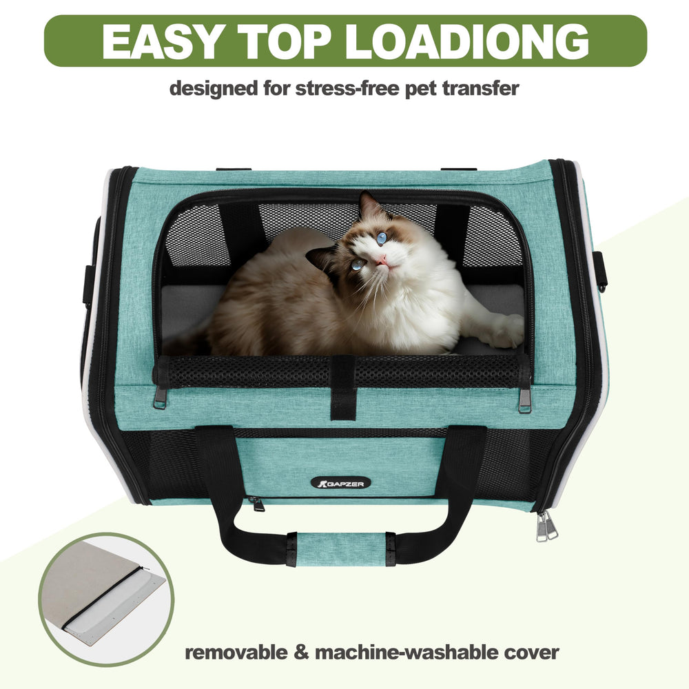 Gapzer cat carrier teal top-opening design eases vet and travel check-ins.