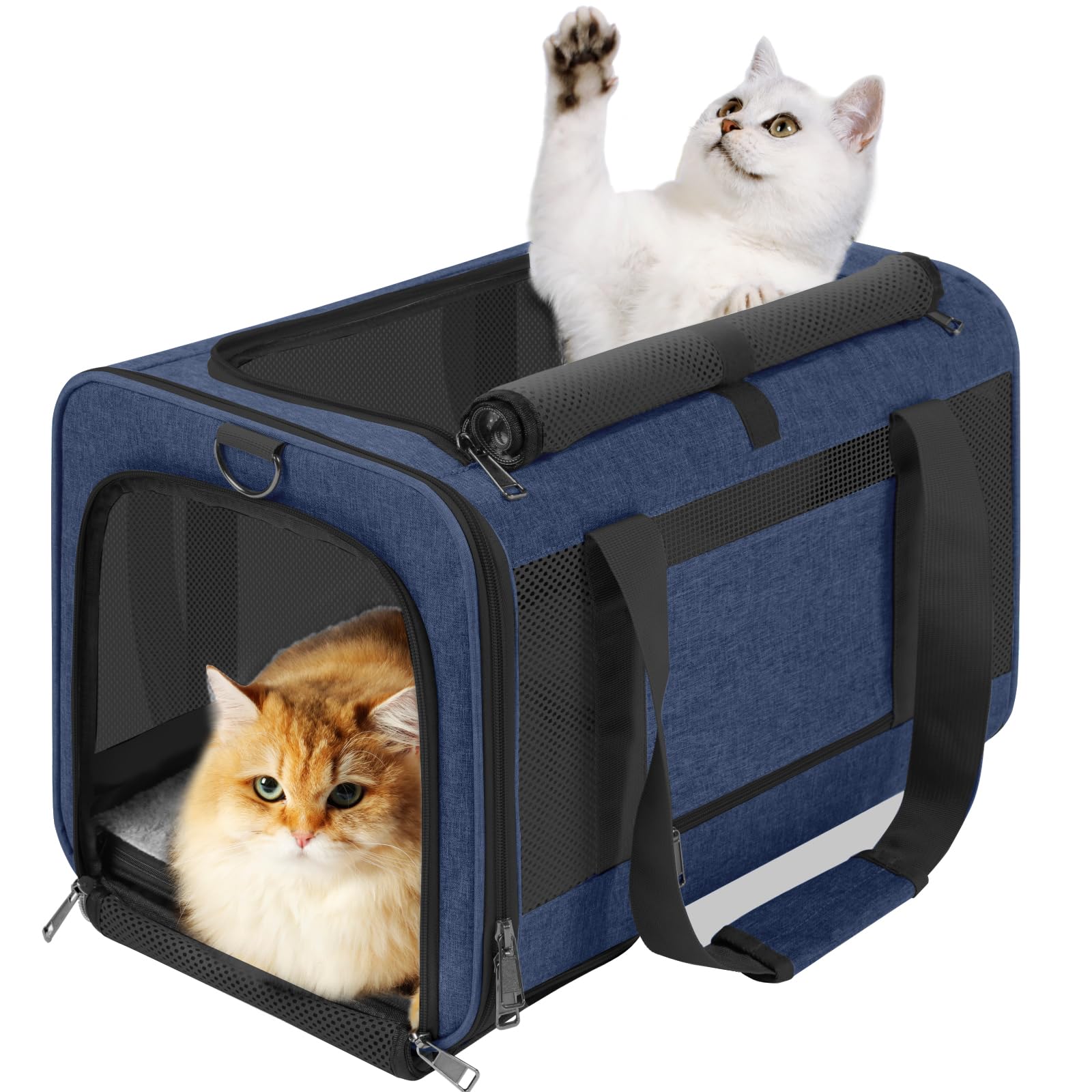 GAPZER dog carrier navy, front view shows sturdy frame and secure auto-locking zippers.