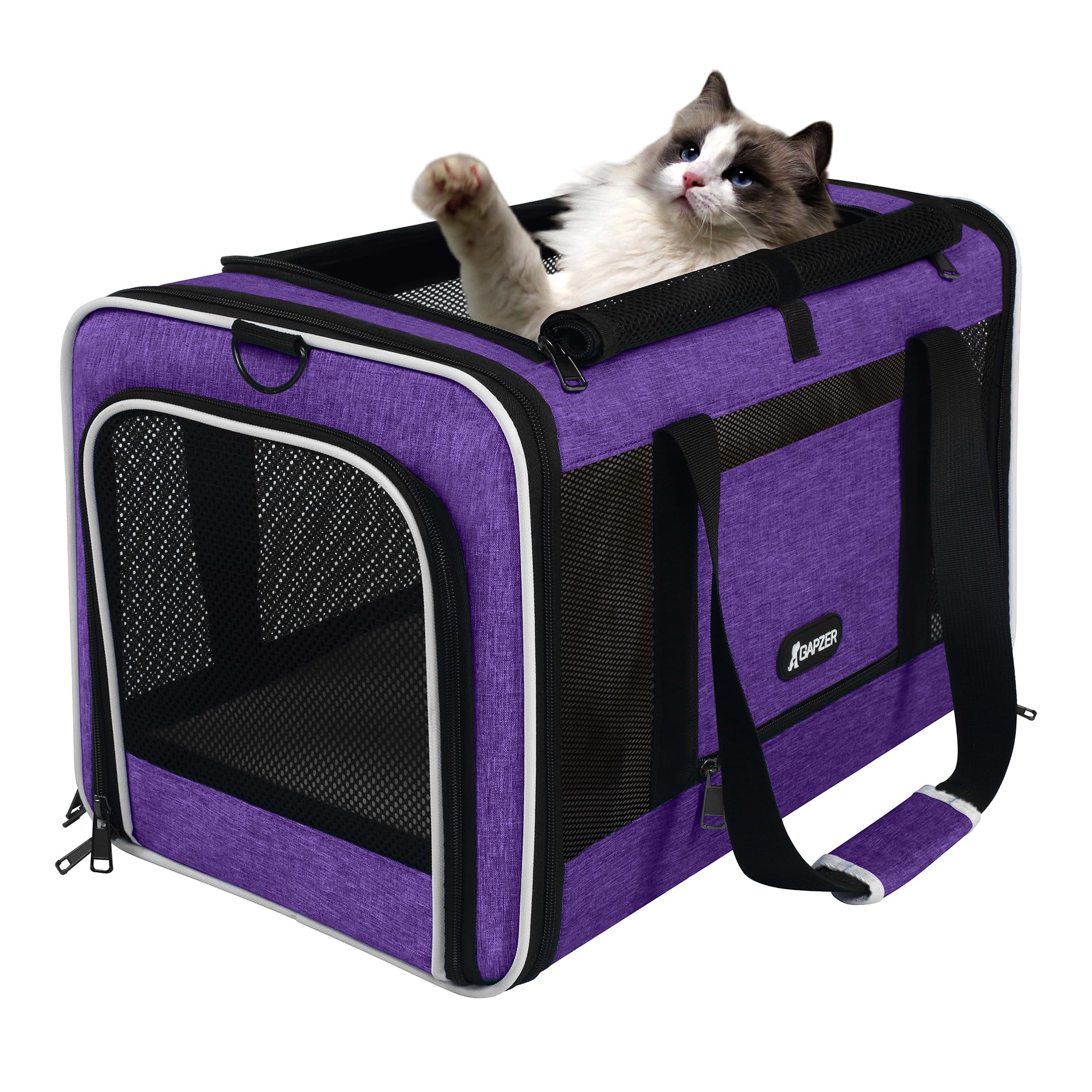 GAPZER Per Carrier purple color adds stylish in-cabin travel option