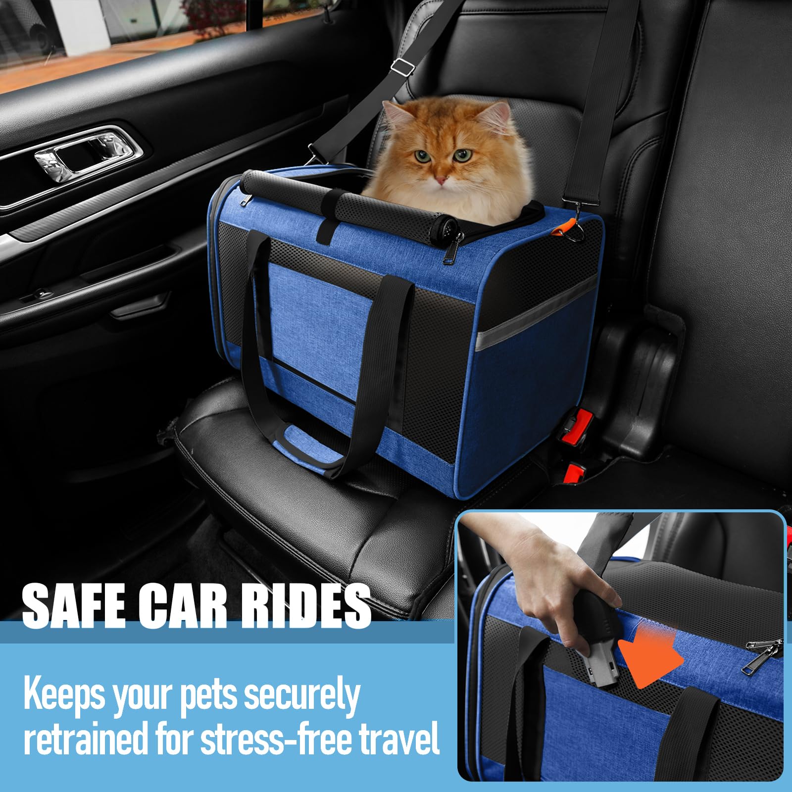GAPZER 5-sided mesh ventilation keeps pets cool and observable.