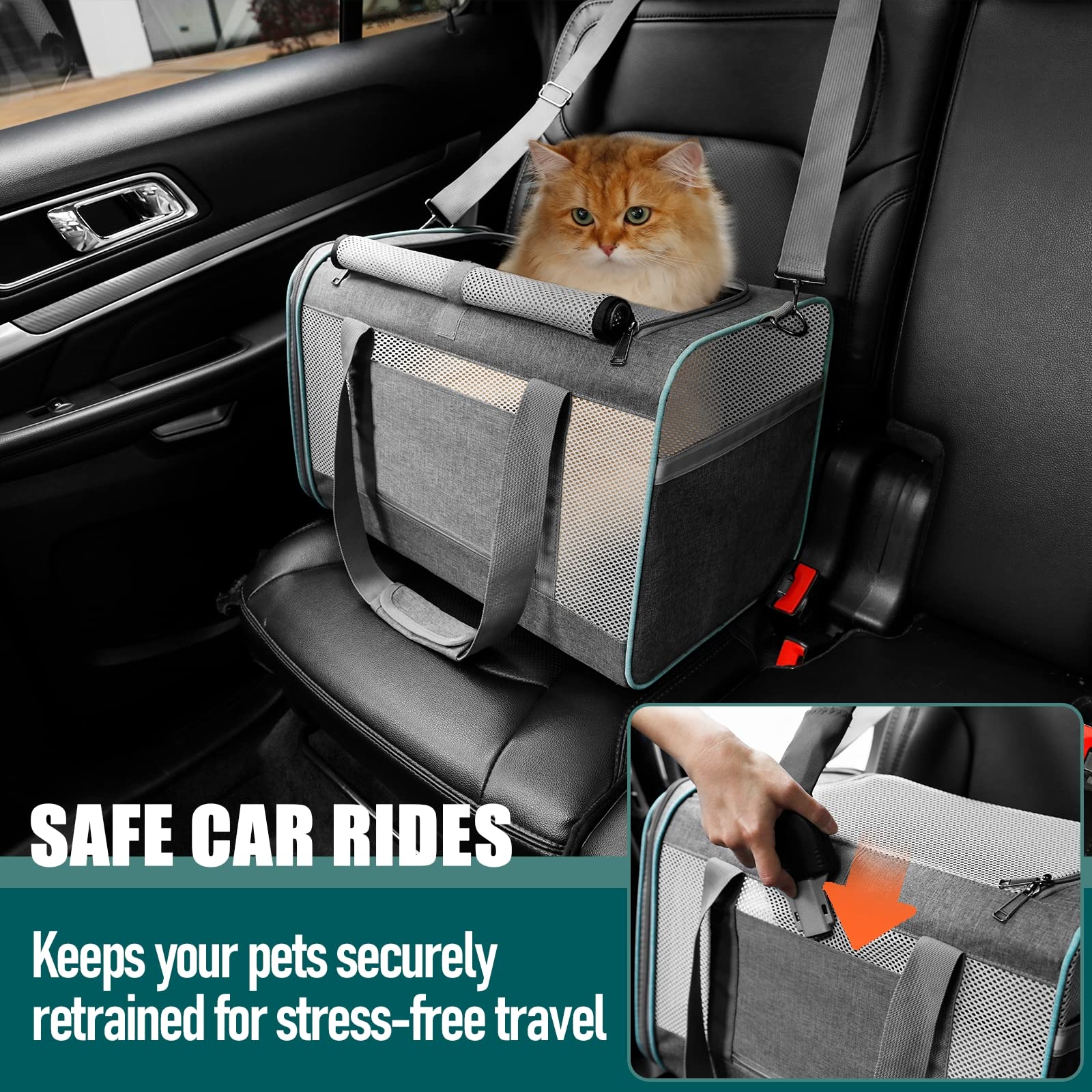 GAPZER pet carrier collapsible for easy storage during travel and at home.