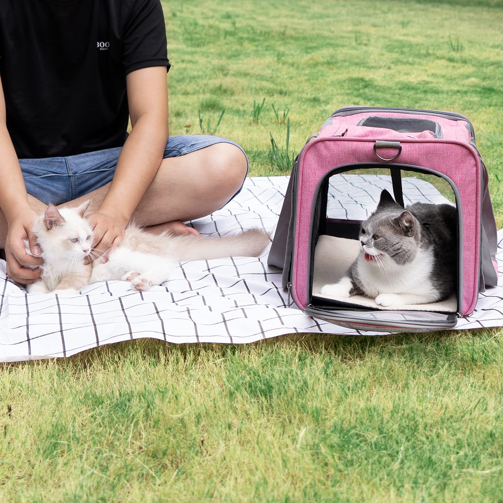 GAPZER pet carrier private mesh design supports airflow and privacy