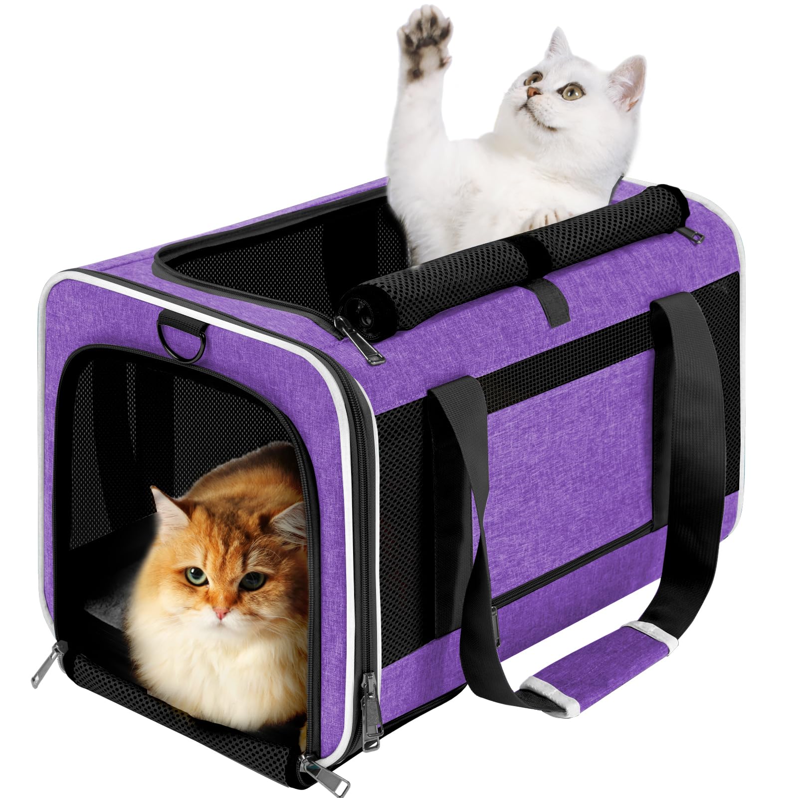 GAPZER pet carrier top-load purple design provides quick access for on-the-go travel