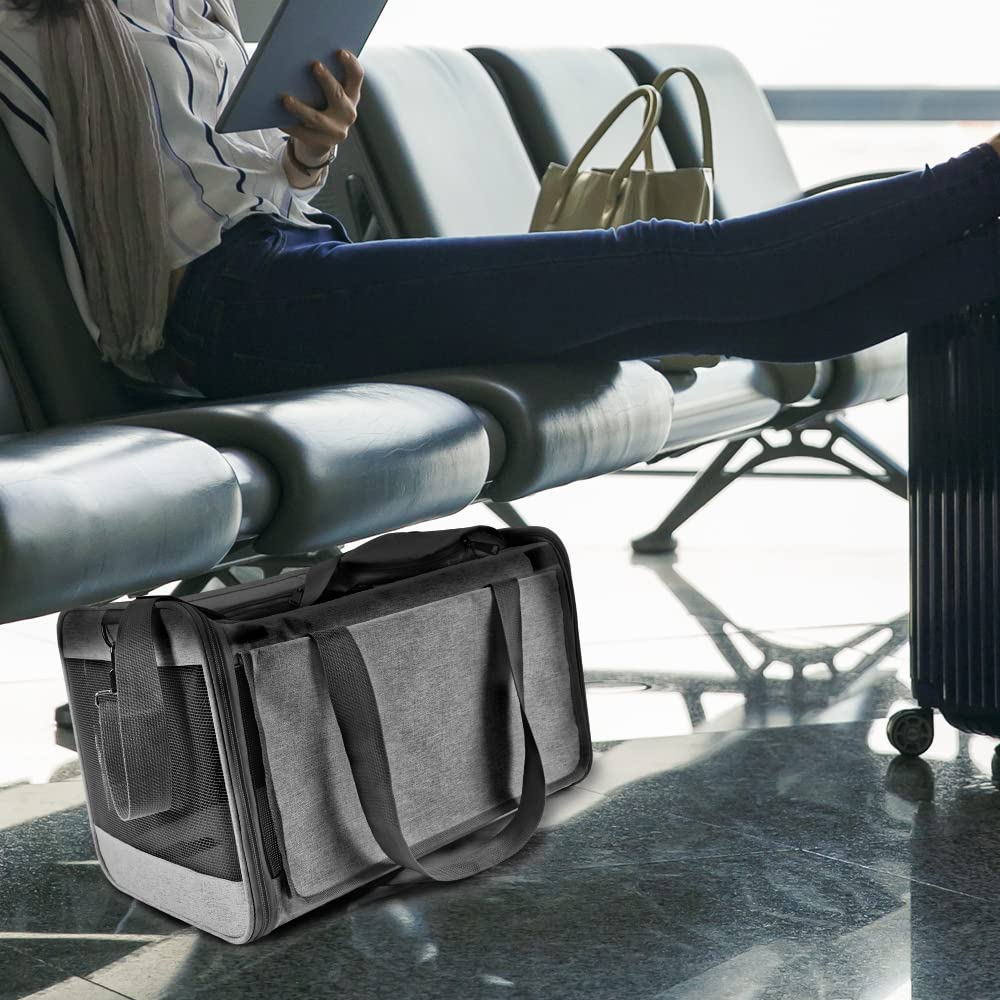 GAPZER carrier features top and side entry doors