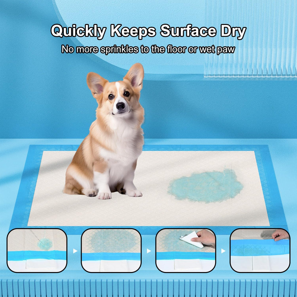 Gardner Pet blue training pad suitable for puppies and kittens.