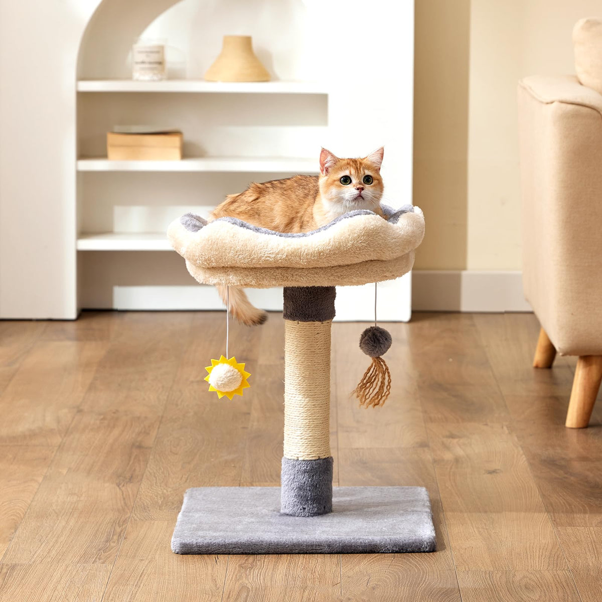 Gardner Pet 20-inch cat tree base with solid wood stability for safe kitten leaps