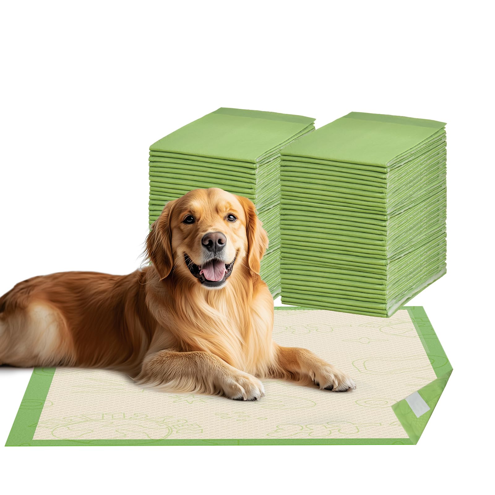 Gardner Pet adhesive-design pee pad securely sticks in place for training and mess-free use