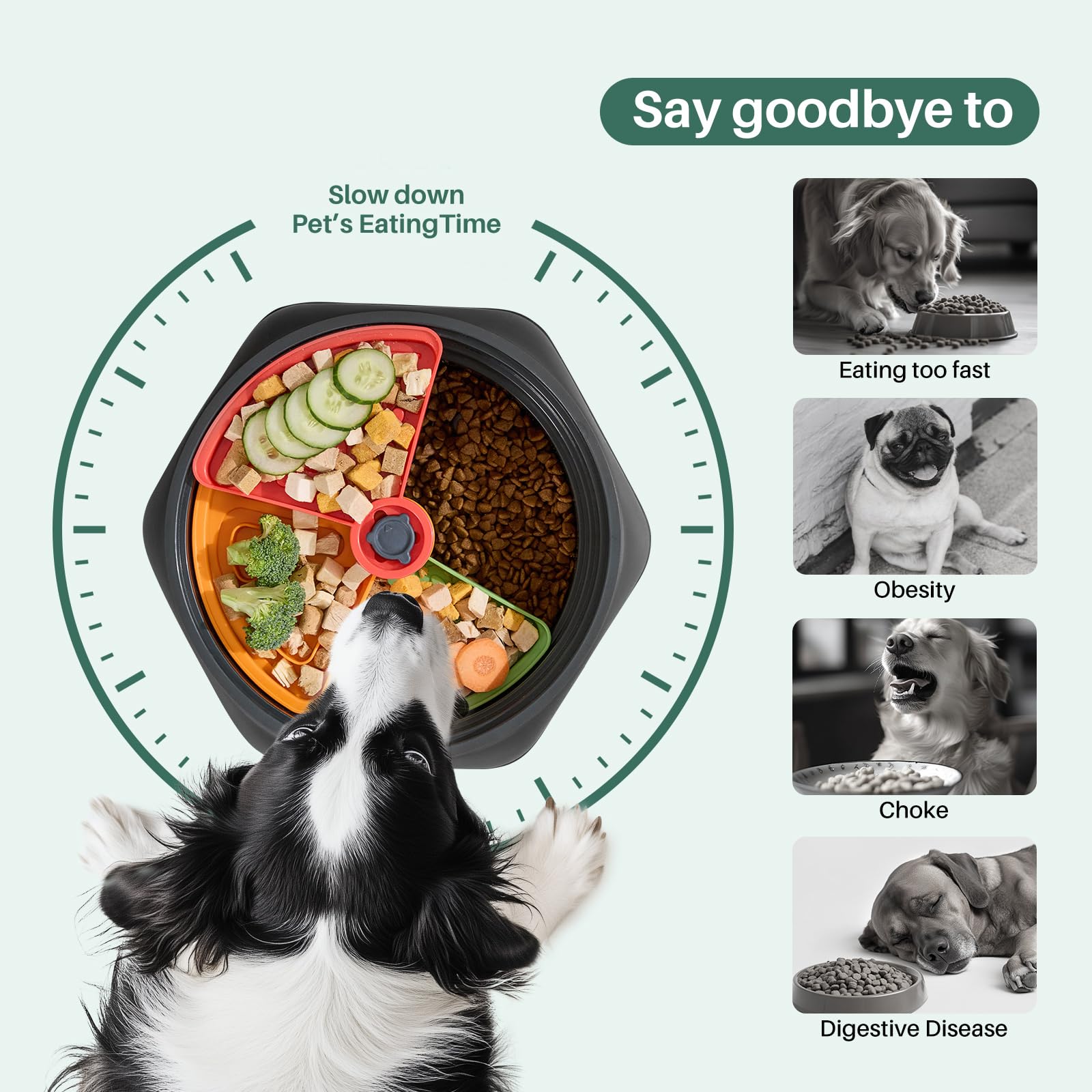 Gardner Pet freeze-tray accessory attached for frozen-treat mealtime extension