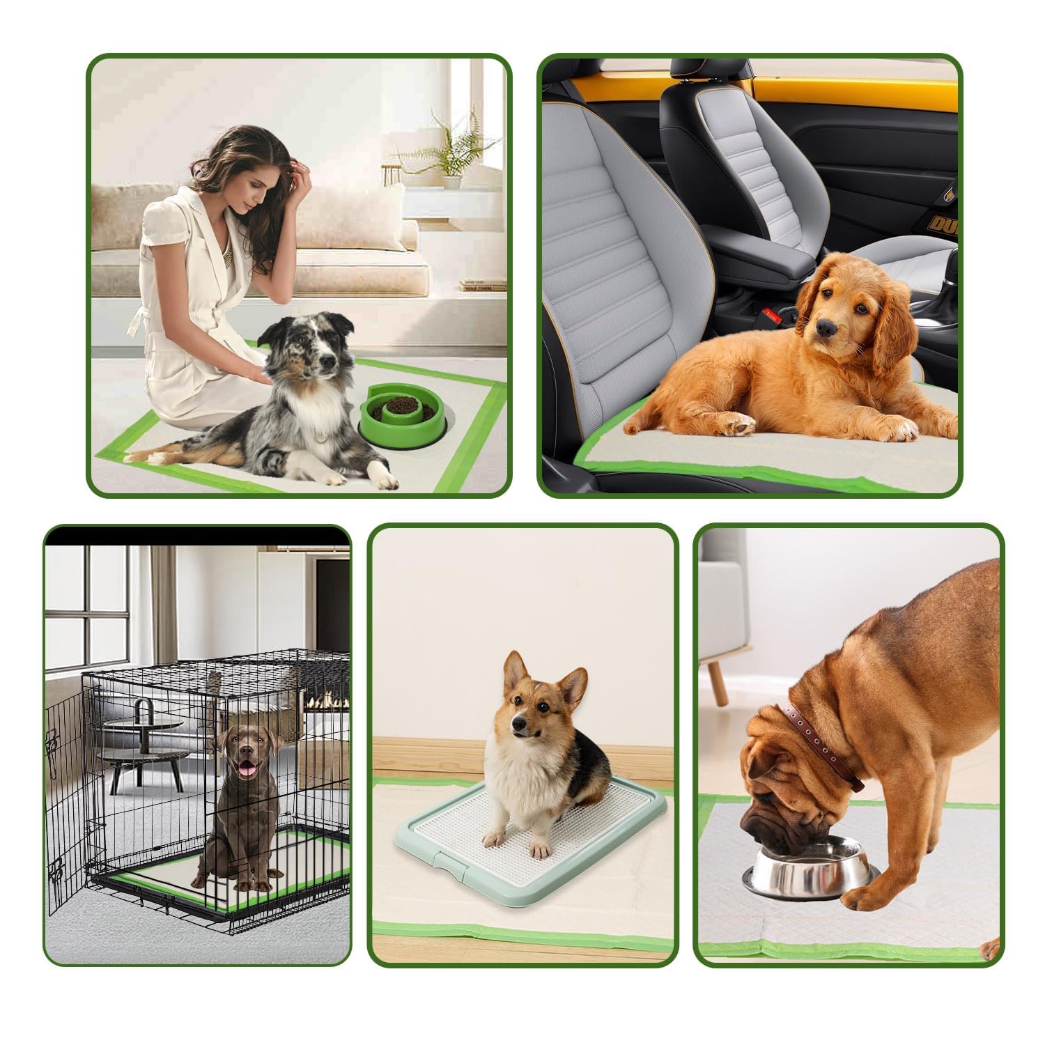 Gardner Pet diamond-quilting locks in liquid, reducing mess.