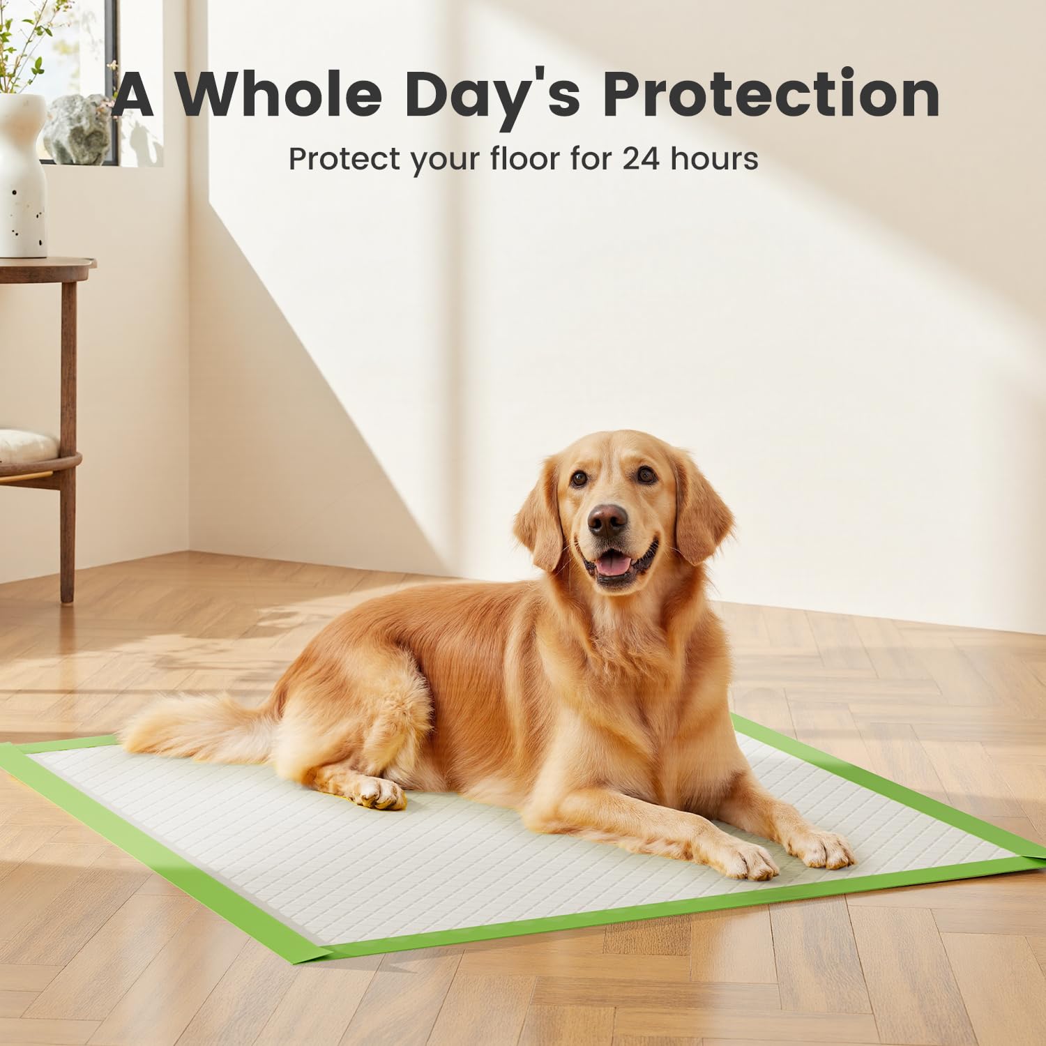 Gardner Pet eco mix-polymer core, premium absorbency for extended protection.