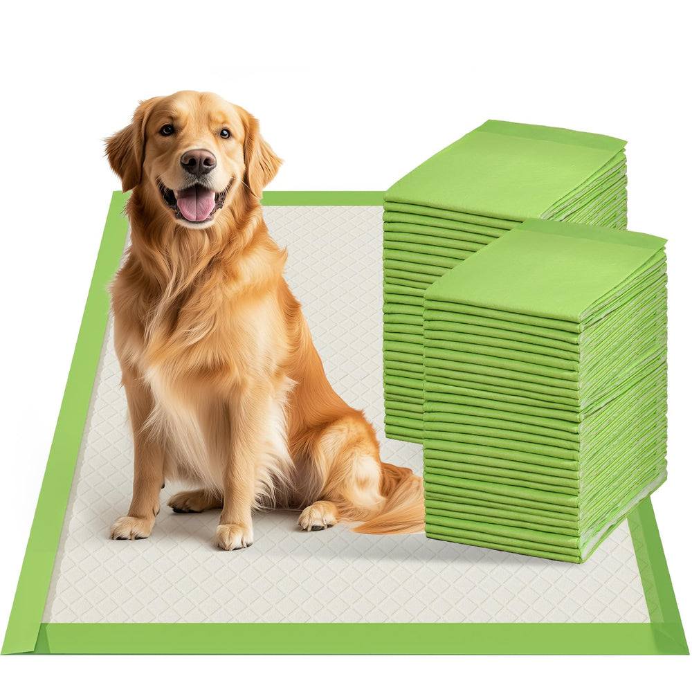 Gardner Pet extralarge pee pad front view, ideal for puppy potty training and home comfort.
