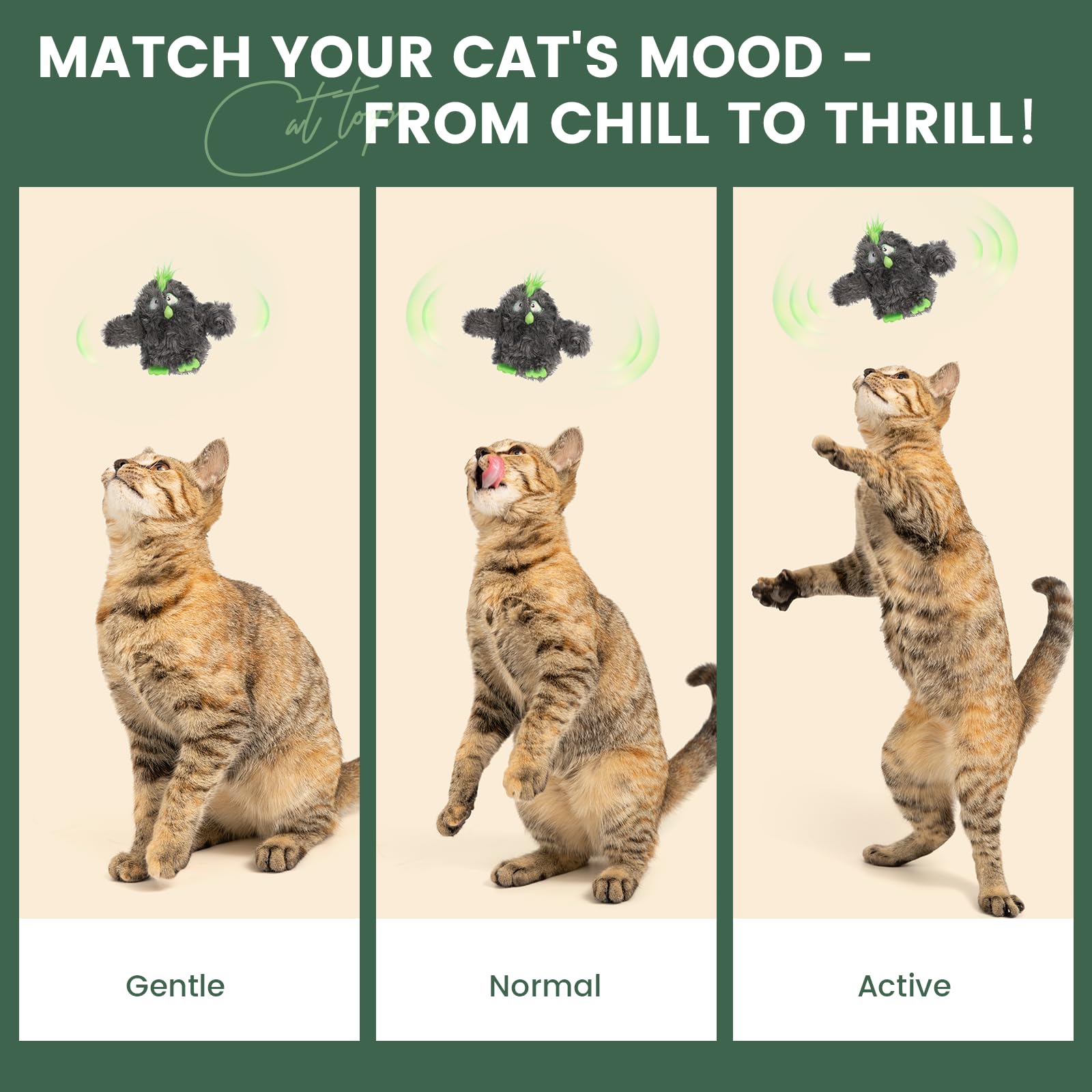 Gardner Pet flapping-bird-wings closeup highlights realistic flutter for pounce