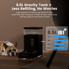 Gardner Pet gravity waterer with transparent window for easy refills.