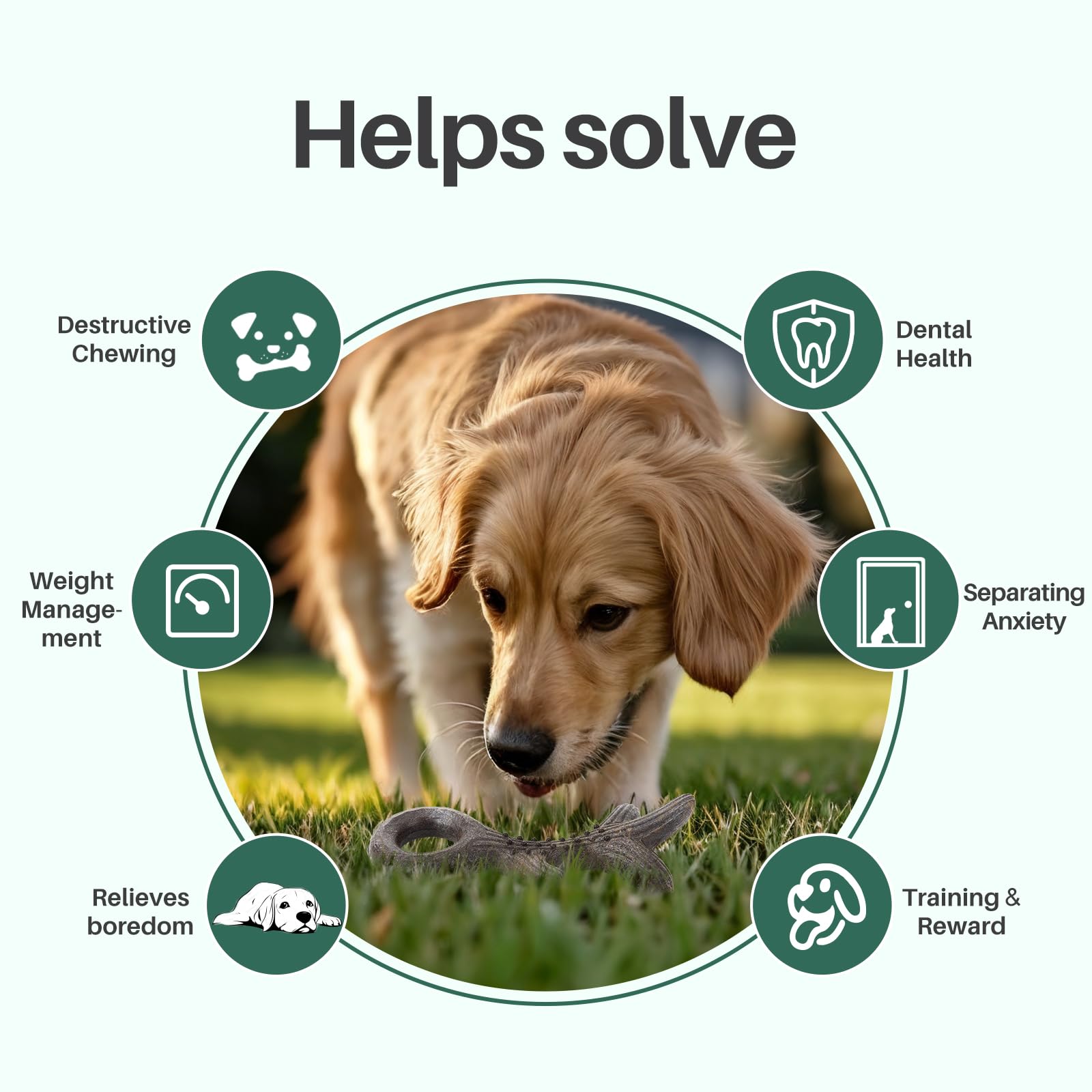 Gardner Pet interactive play scene demonstrates boredom relief and training potential