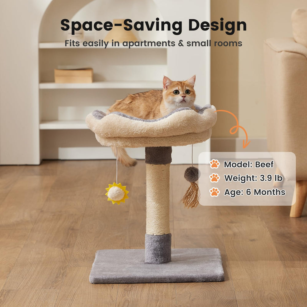 Gardner Pet natural sisal scratching post—redirects claws from furniture