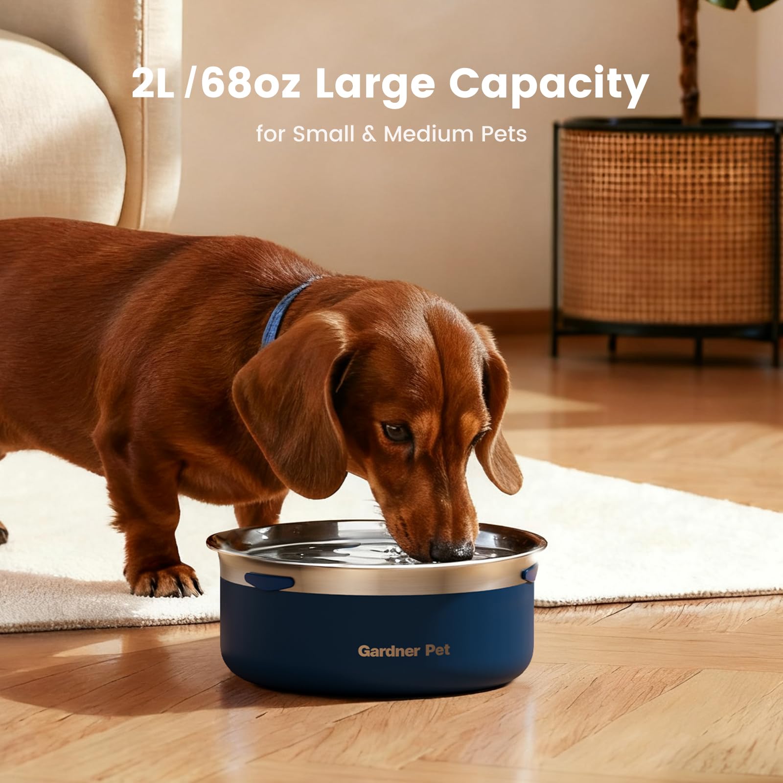 Gardner Pet slow water bowl floating disk demonstrates controlled water flow to reduce gulping.