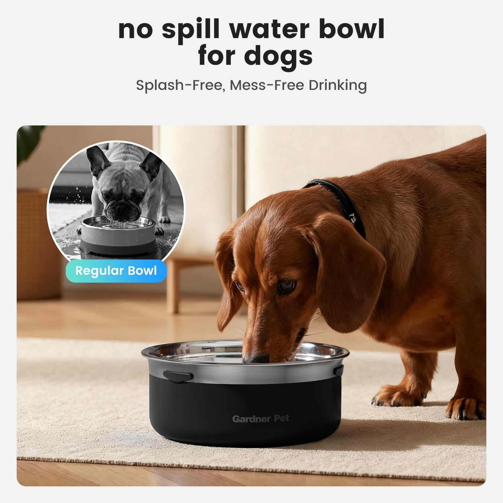 Gardner Pet slow water bowl ideal for medium dogs during daily use.