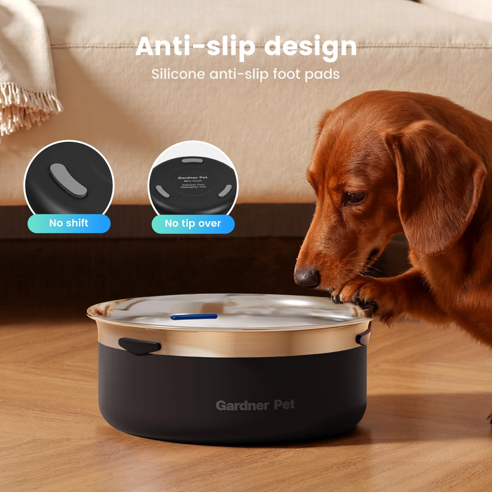 Gardner Pet slow water bowl demonstrates controlled water flow from the disk.
