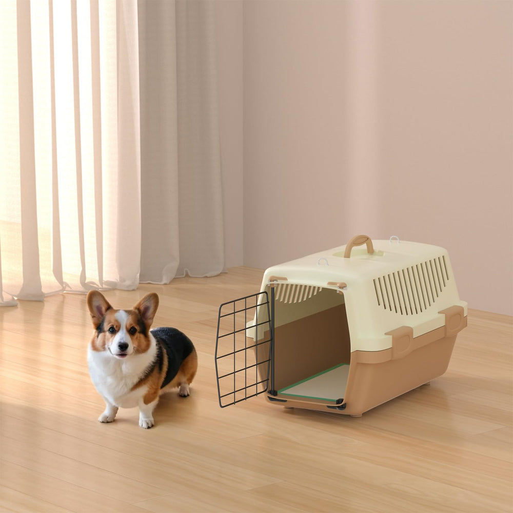 Gardner Pet soft top layer feels gentle for anxious dogs during use