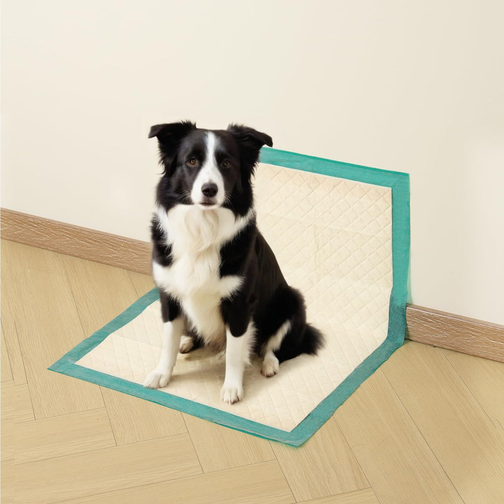 Gardner Pet 24/7 expert support offers training tips and product assistance