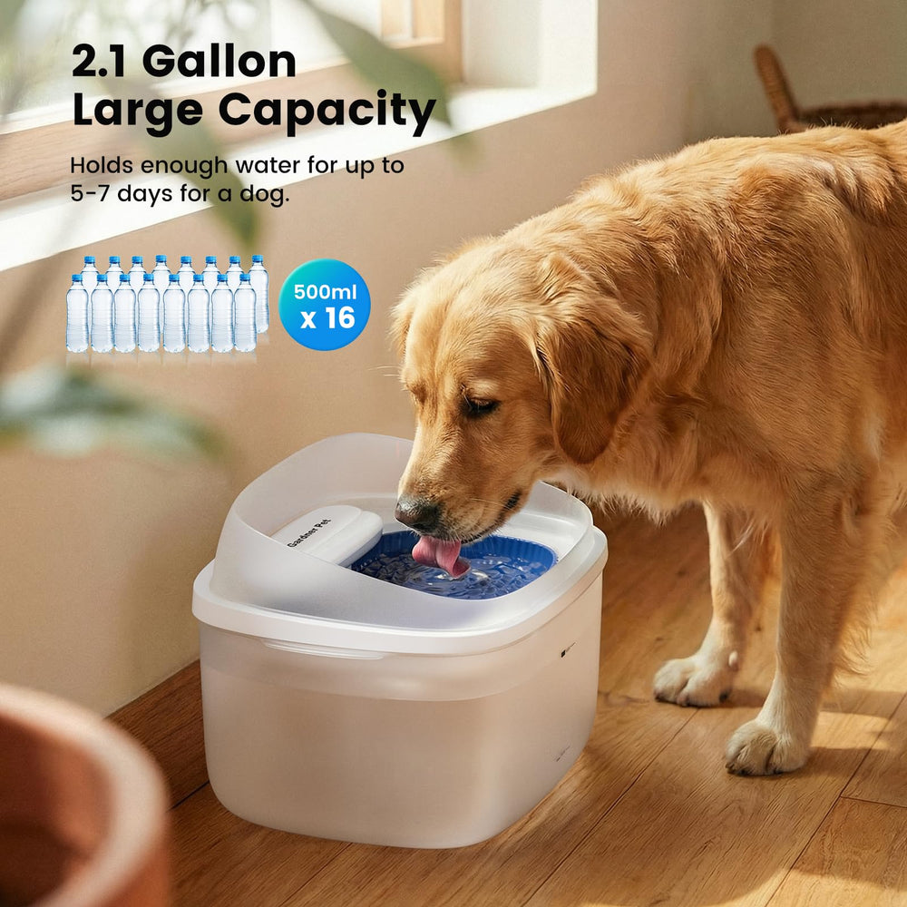 Gardner Pet vortex circulation design drawing attention to water flow inviting drinking.