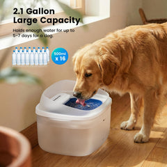 Gardner Pet vortex circulation design drawing attention to water flow inviting drinking.