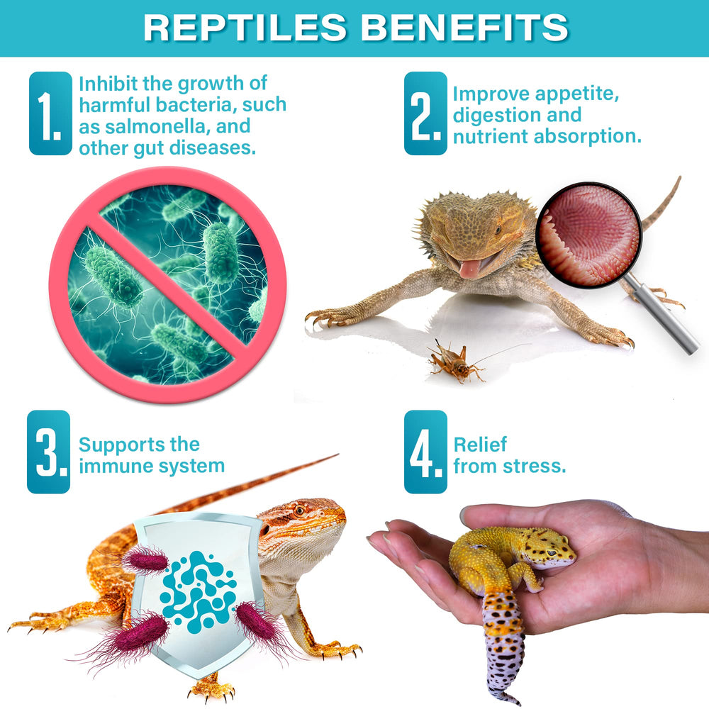 Gargeer Reptile Probiotics mixed-into-food scene suggests smoother digestion.